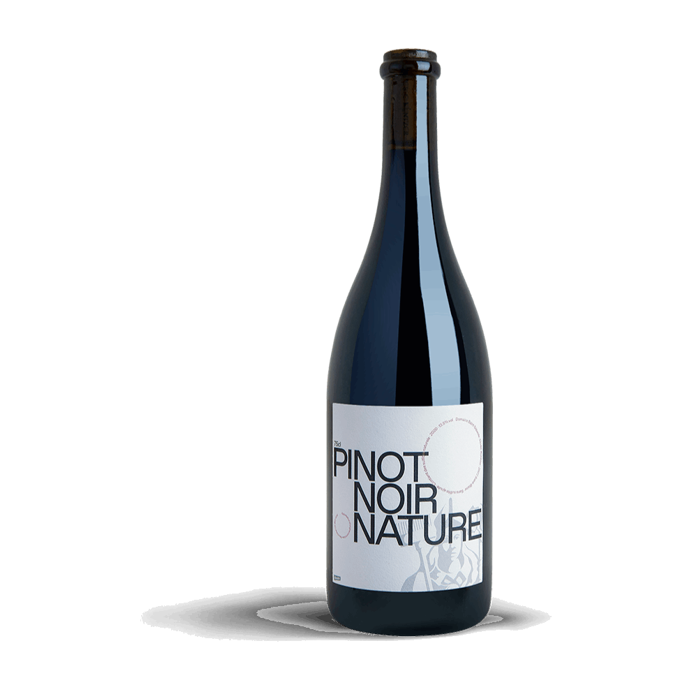 SAINT-SÉBASTE - Pinot Noir Nature 2022 - swissfinehouse