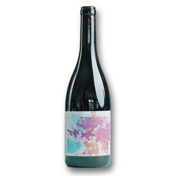 Chlapf - Pinot Noir Schloss Hahnberg Naturwein mit eleganter Verpackung, exklusiv in der Schweiz.